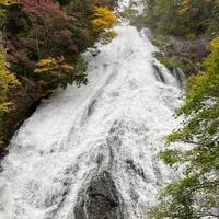 湯滝の写真・動画_image_1224540