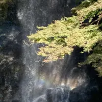 箕面大滝の写真・動画_image_1233071