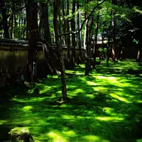 西芳寺の写真・動画_image_124065