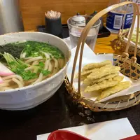 さいふうどん 木村製麺所の写真・動画_image_1251498
