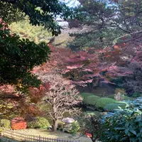 東京都庭園美術館の写真・動画_image_1252439