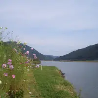 円山川の写真・動画_image_1280307
