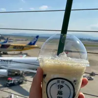福岡空港の写真・動画_image_1287177
