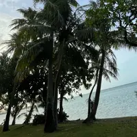 Hagania Bay（ハガニア湾）の写真・動画_image_1295336
