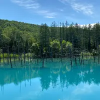 青い池の写真・動画_image_1305784