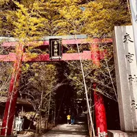 來宮神社の写真・動画_image_1306418