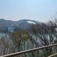 大三島橋の写真・動画_image_1306474