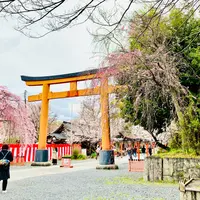 平野神社の写真・動画_image_1317149