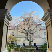 京都府庁 旧本館の写真・動画_image_1320186