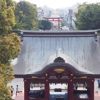 鶴岡八幡宮の写真・動画_image_1322950