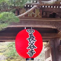 長谷寺の写真・動画_image_1322970