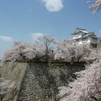 津山城 鶴山公園の写真・動画_image_1339361