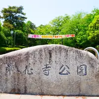 華蔵寺公園の写真・動画_image_1358846