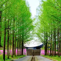 日本へそ公園の写真・動画_image_1360975