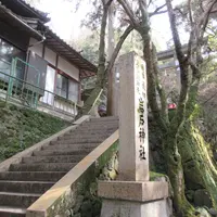 岩戸神社の写真・動画_image_1371158