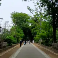 武蔵一宮 氷川神社の写真・動画_image_1374027