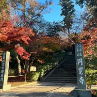 円覚寺の写真・動画_image_1397391
