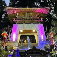 江島神社 辺津宮の写真・動画_image_1416319