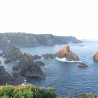 海金剛の写真・動画_image_142805
