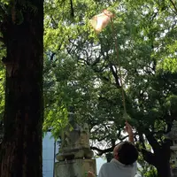 筑後市諏訪神社の写真・動画_image_143316