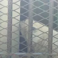 姫路市立動物園の写真・動画_image_144945