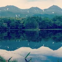 知床五湖の写真・動画_image_146017