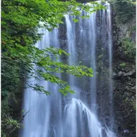 善五郎の滝の写真・動画_image_147855