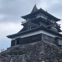 丸岡城の写真・動画_image_1488190