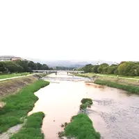 丸太町橋の写真・動画_image_150887