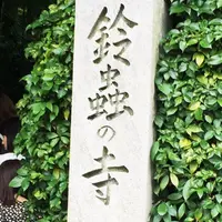 鈴虫寺（華厳寺）の写真・動画_image_151071
