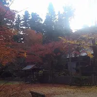 常隆寺の写真・動画_image_154188