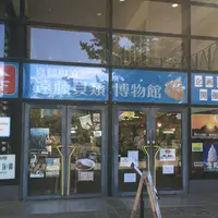 真鶴町立　遠藤貝類博物館の写真・動画_image_154235