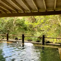 ゆとりの湯裏見ヶ滝温泉の写真・動画_image_1547722