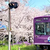 宇多野駅の写真・動画_image_1556346