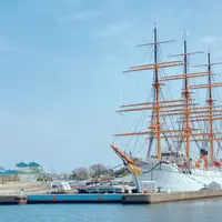 新湊大橋の写真・動画_image_1564746