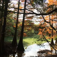 篠栗九大の森の写真・動画_image_156803