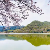 広沢池の写真・動画_image_1571548