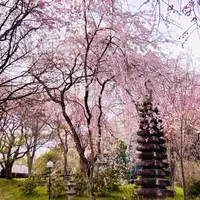 桜守 佐野藤右衛門邸の写真・動画_image_1571550