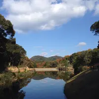 八ヶ尻池の写真・動画_image_158899