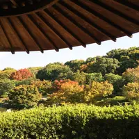 大仙公園・日本庭園の写真・動画_image_159979