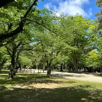 千秋公園の写真・動画_image_1606696