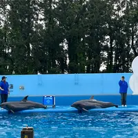 マリンピア日本海の写真・動画_image_1616554