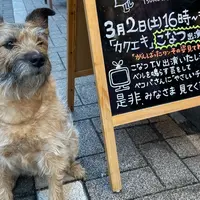 (有)ペットショップつるやの写真・動画_image_1623374