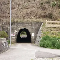 軽乗用車しか通れないトンネルの写真・動画_image_162753