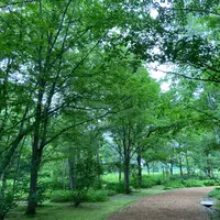 六花の森の写真・動画_image_1630002