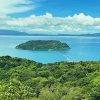 知林ヶ島の写真・動画_image_1642883