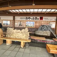 鹿児島空港の写真・動画_image_1642886