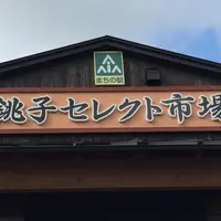 銚子セレクト市場の写真・動画_image_164694