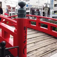 はりまや橋の写真・動画_image_164842