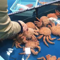 竹島水族館の写真・動画_image_165053